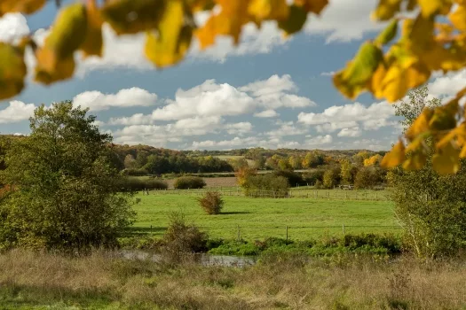 Image pour le secteur Environnement